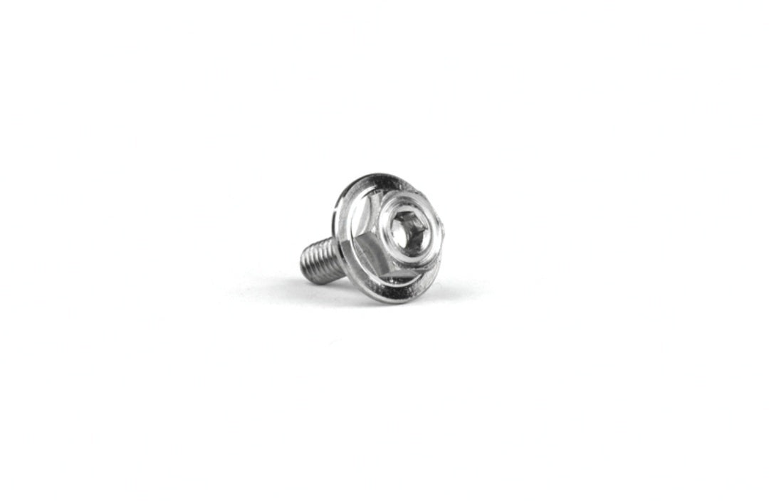 Avid Clutch screw Titanium